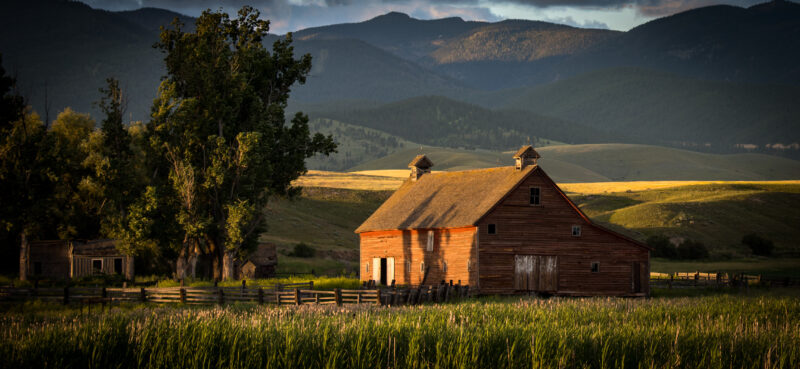 9 Ways to Make Money Homesteading